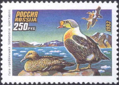 Почтовая марка России\n\n