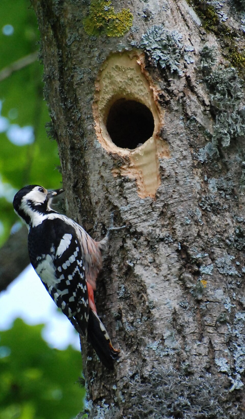 \n-