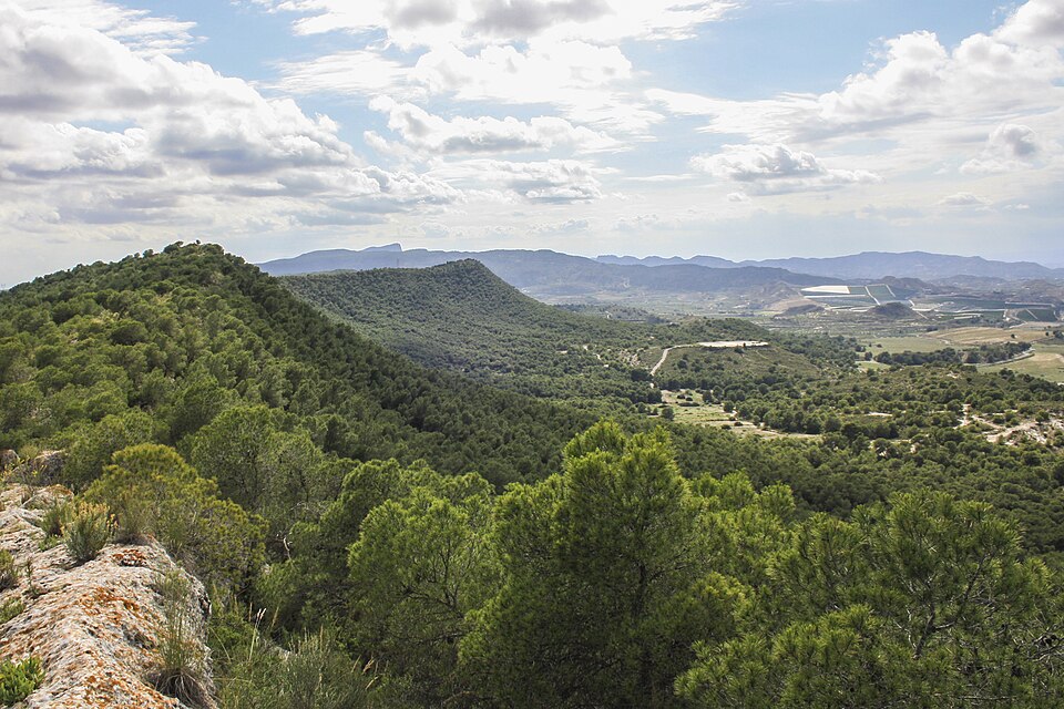 Плотность поселений филина на склонах хребта Сьерра-де-Эскалона (Sierra de Escalona) на юго-востоке Испании составляет около 46 пар на 100&nbsp;км².\n\nФилин&nbsp;— один из наиболее распространённых