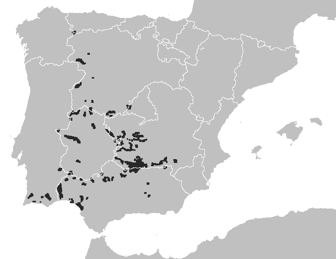 Ареал в 1980 году\n\n